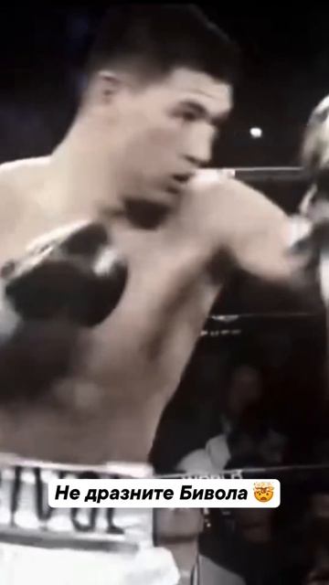 Дмитрий Бивол - лучший 🤩 смотреть онлайн