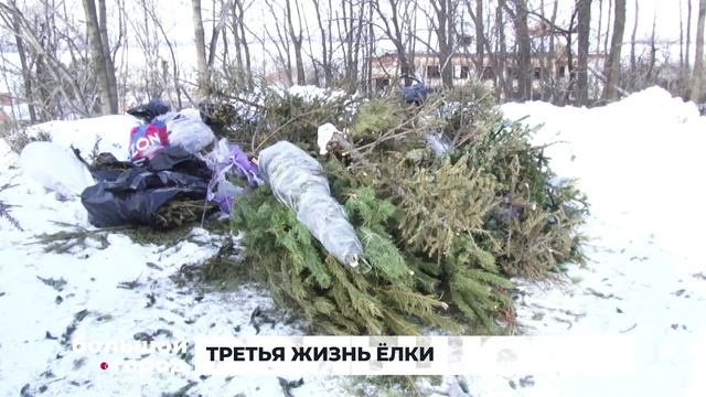 ТРЕТЬЯ ЖИЗНЬ ЁЛКИ. Большой город 19/01/2026 смотреть онлайн