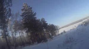 Охота на зайца с гончей, 2025 год