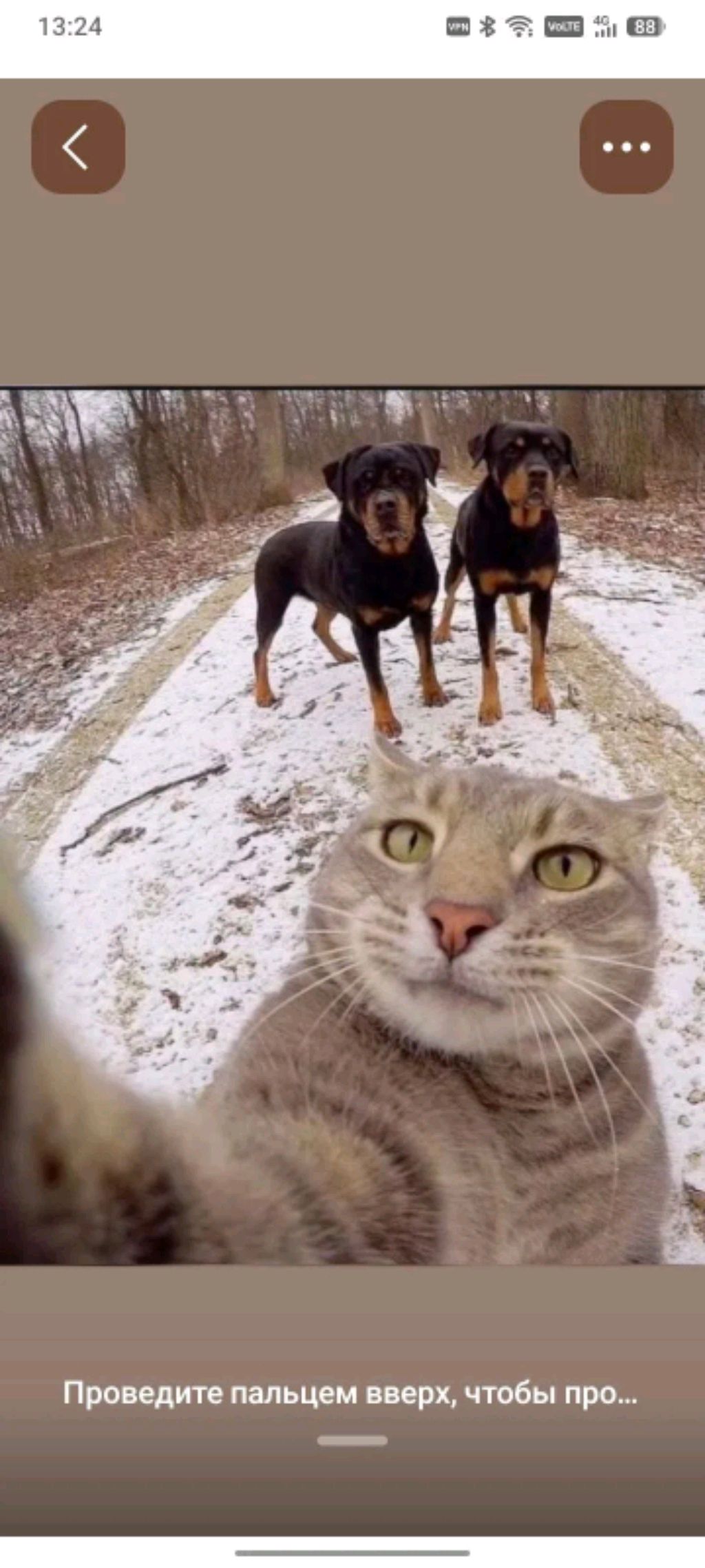 стримчик подехал смотреть онлайн