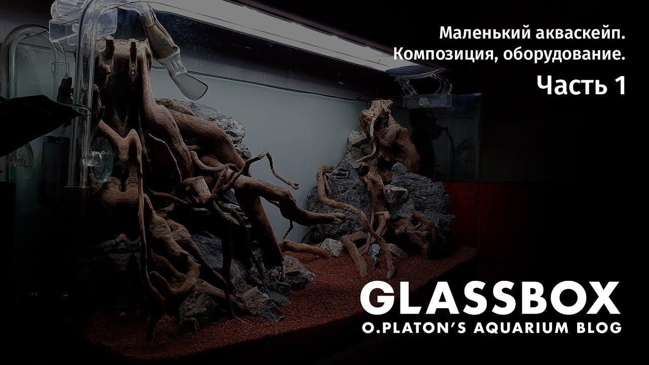 1 - Маленький акваскейп. Композиция, оборудование. смотреть онлайн