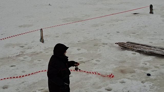 3584.mp4 смотреть онлайн