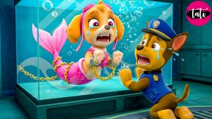 Щенячий патруль и Маршалл. Залипательное видео. Мультфильм для детей и малышей. Анимация 78