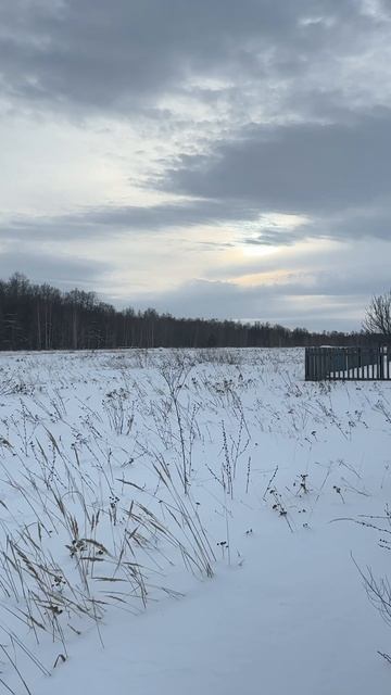 Обзор участка в с. Тетеево в пригороде Казани