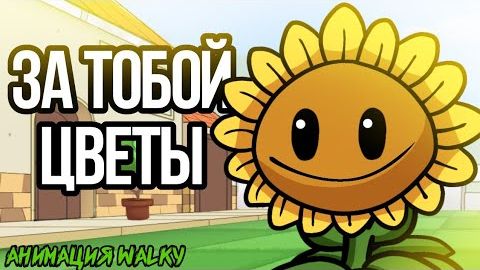 За тобой цветы
