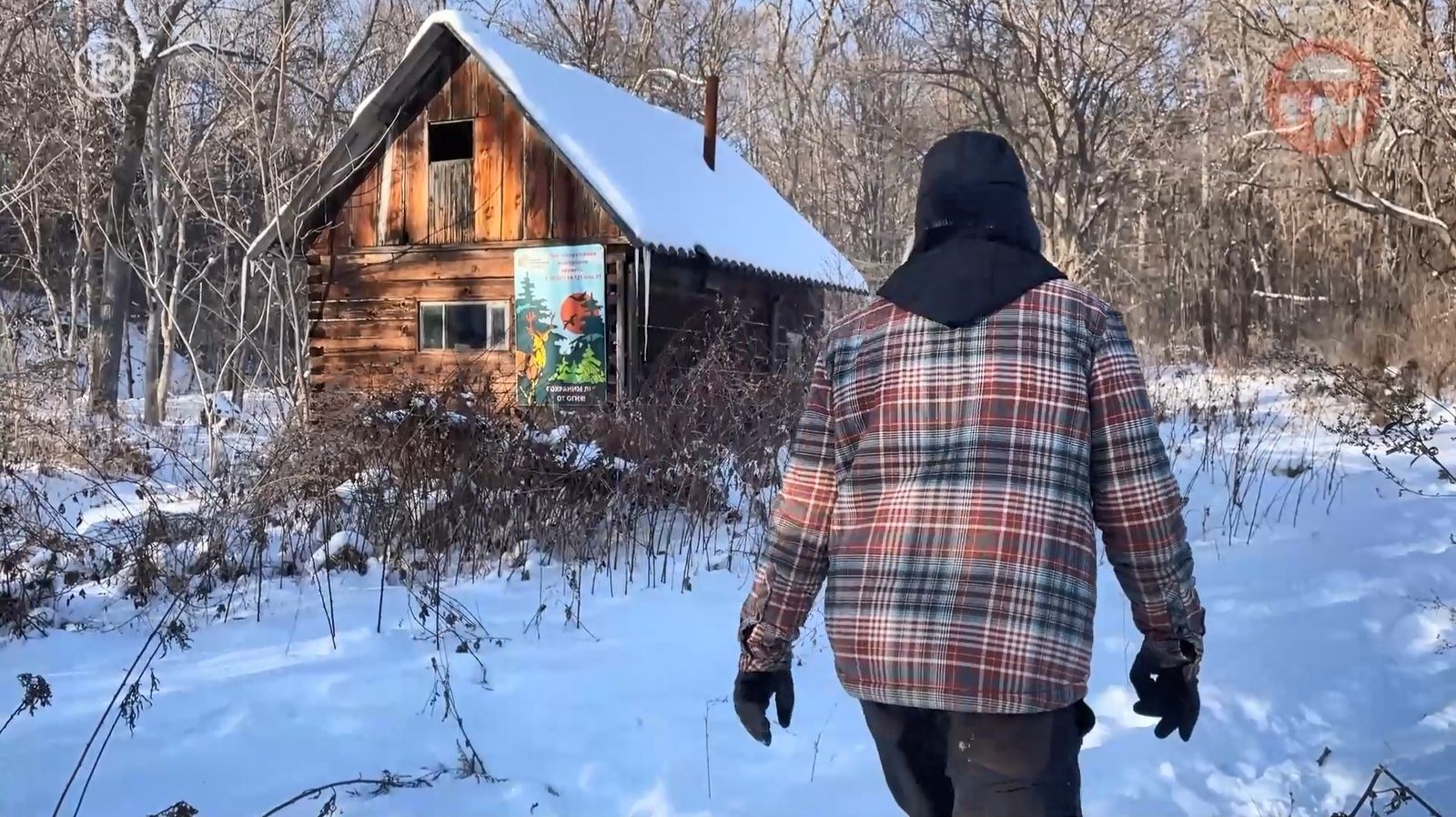 🌲 Сотрудники уссурийского заповедника профессиональный праздник отмечают на таежных тропах смотреть онлайн