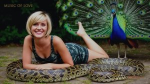 Музыка для Отдыха. Мягкий Ситар и бамбуковая Флейта