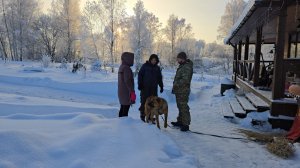 Сияющий день, приятная встреча и разноцветные деревяшки