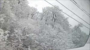 На поезде из Москвы в Сочи  из зимы в лето в 2026год.