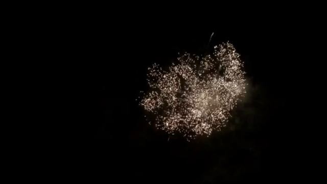 Вариант 1 совмещенный салют