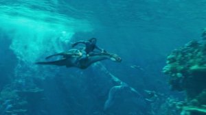 Аватар 2.Спасение Тулкуна и подводная погоня за детьми Джейка.