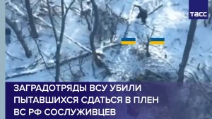 Заградотряды ВСУ убили пытавшихся сдаться в плен ВС РФ сослуживцев