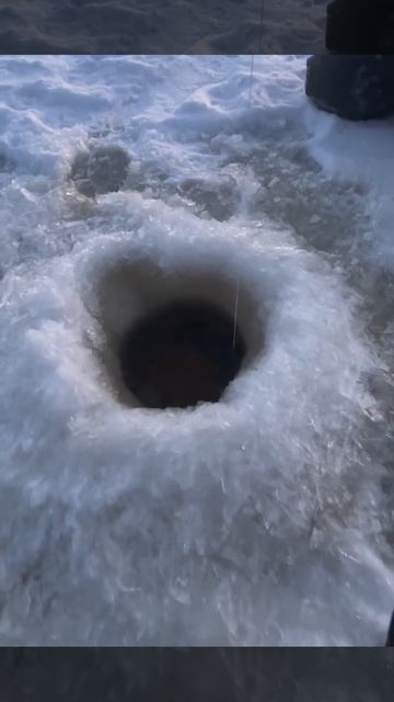 Мощная поклёвка. Не лезет в лунку. Поймал огромную щуку!. смотреть онлайн