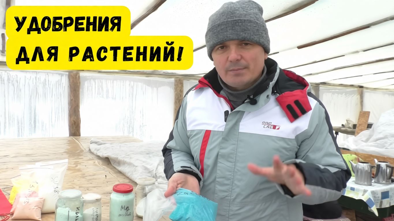 Простые удобрения для растений- дёшево и полезно для растений! смотреть онлайн