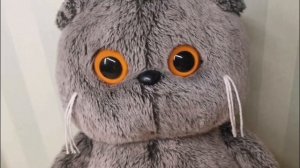 Басик выполняет мои задания