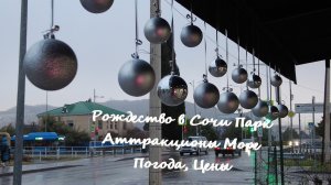 Поехали в Сочи! В Январе, на Рождественские праздники! Имеет ли смысл?