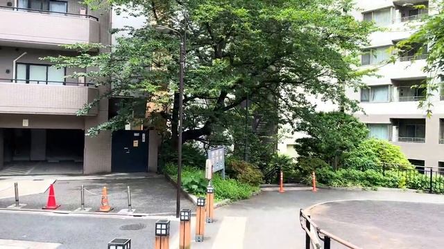 Akihabara Streets & Anime Culture