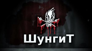 Шунгит в аквариуме и волшебство фуллереноFF