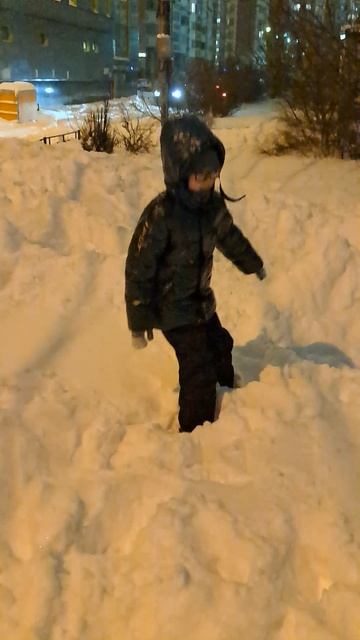 Снежный Ангел 2026