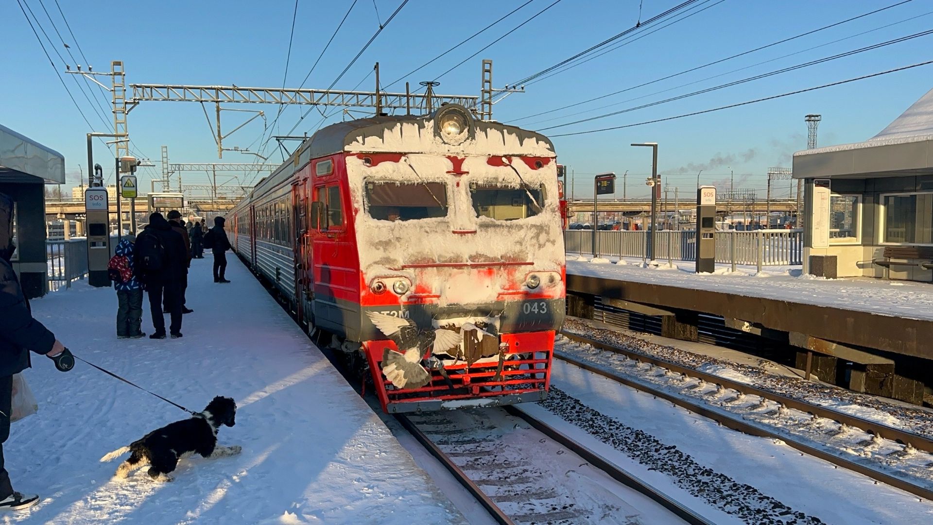 «Световой столб от солнца!» Электропоезд ЭТ2М-043 на пл.Сортировочная им.В.Н.Морозова, январь 2026 г смотреть онлайн