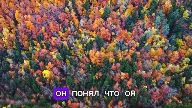 Свидетельство из Германии смотреть онлайн