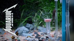 Советы по выбору диффузора СО2 для аквариума