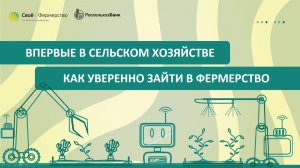 Впервые в сельском хозяйстве: как уверенно зайти в фермерство