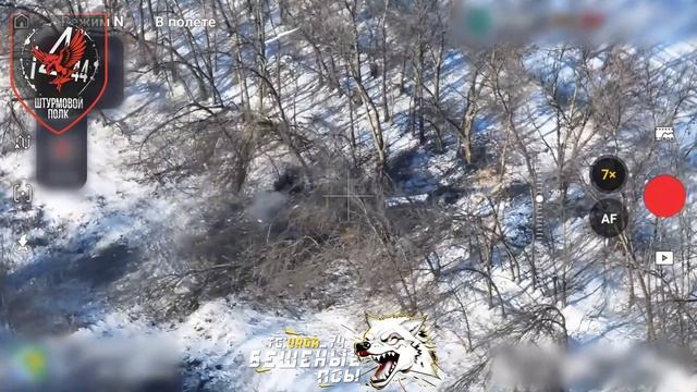 🎮🔥❌Расчёт БпЛА штурмового полка бригады «Бешеные псы» уничтожил немецкий танк Leopard ВСУ… смотреть онлайн