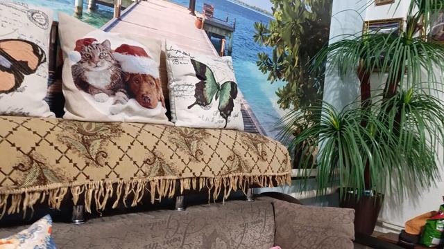 Мои пушистики смотреть онлайн