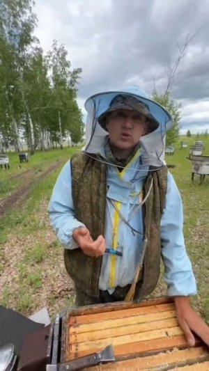 Ставим разделительные решетки, в освоеные пчелами магазины с Мёдом. #bee#Honey#Honey frame