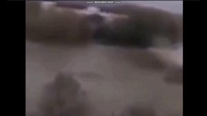 Подборка наблюдений НЛО январь 2026