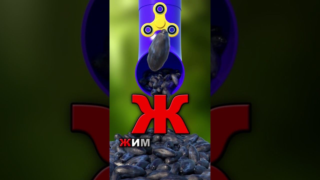 Азбука #8 Буква Ж смотреть онлайн