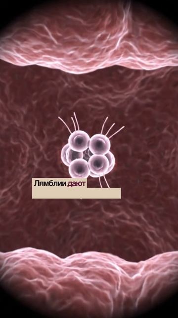 Странные симптомы, которые часто игнорируют смотреть онлайн