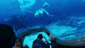 Аватар 2.Охота на Тулкунов.