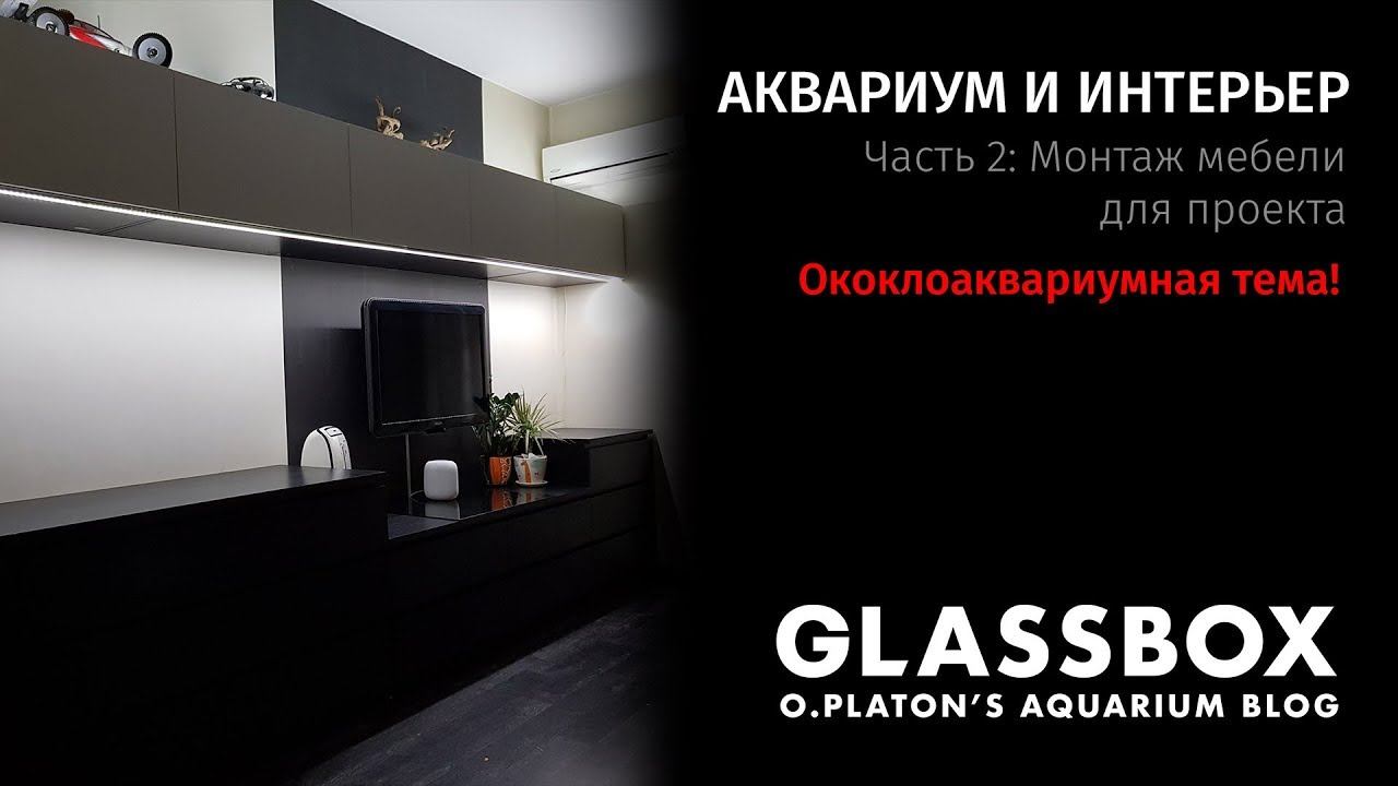 Аквариум и интерьер: 2 - Проект аквасистемы. Монтаж мебели для проекта. смотреть онлайн