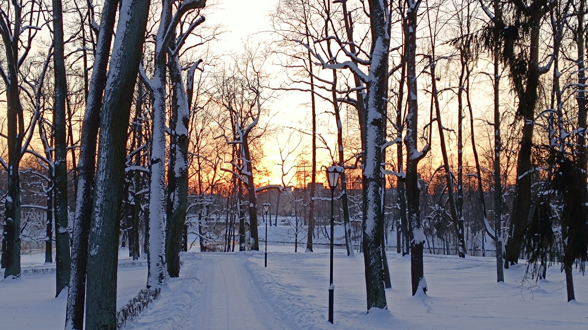 Вяжем играя с Еленой Велиной. 20 тур. Старт. смотреть онлайн