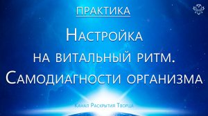 Практика. Настройка на витальный ритм. Самодиагностика организма
