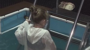 Крещенская ночь