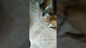 ВЛОГ: МОЙ ТИПИЧНЫЙ бУДНИЙ ДЕНЬ