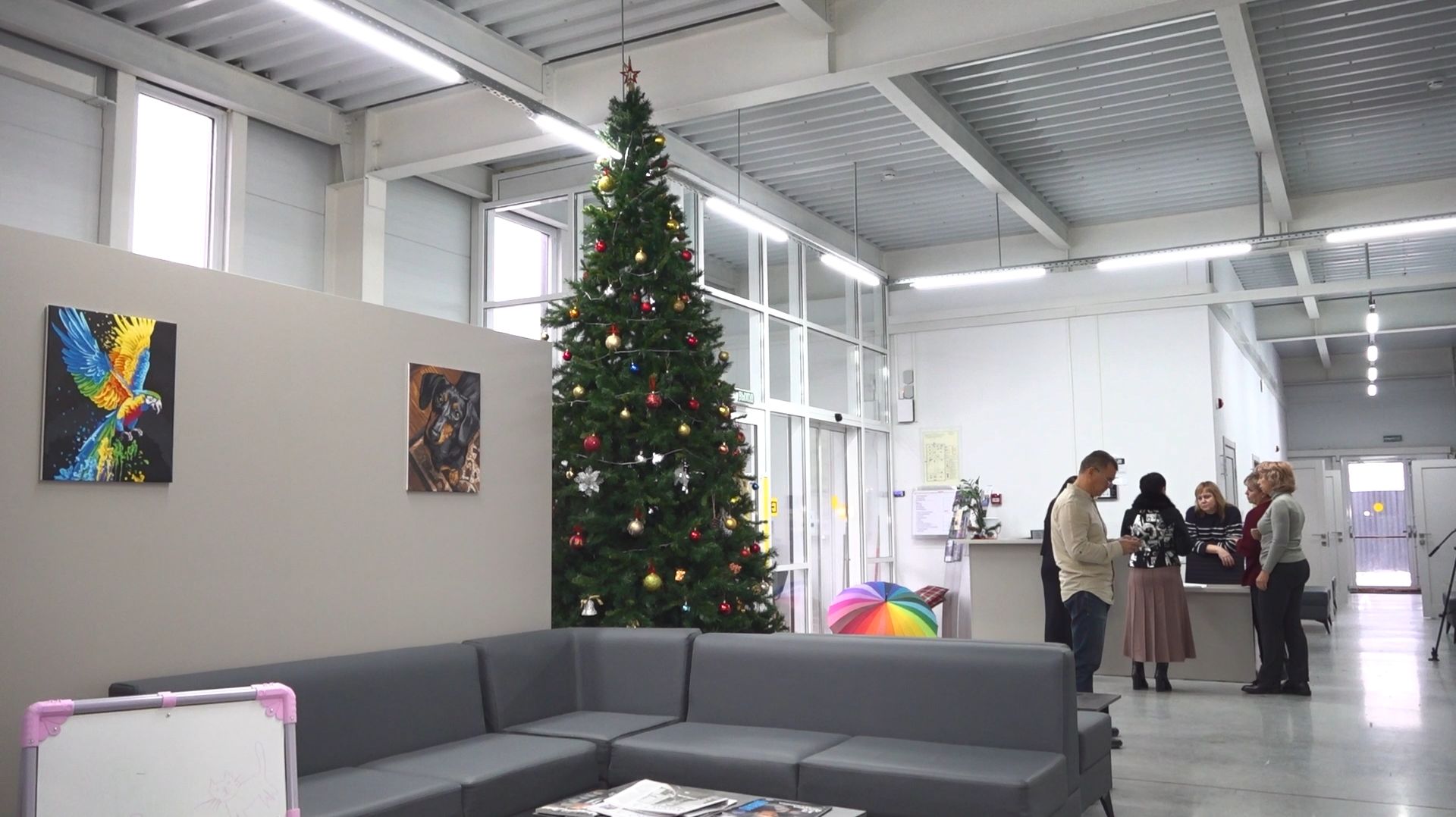 В Анапе стартовал масштабный проект психологической помощи участникам СВО и их семьям смотреть онлайн