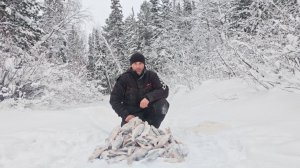 МАЛЕНЬКАЯ НО ОЧЕНЬ РЫБНАЯ РЕЧКА.КРУПНАЯ СОРОГА.ЗИМНЯ.А НА МОРМЫШКУ.