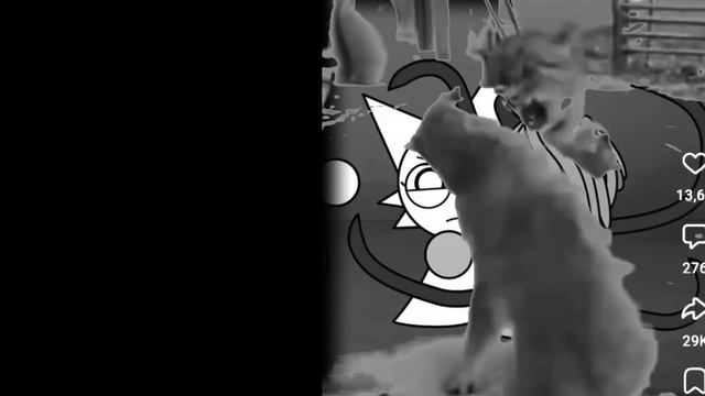 Спранки на зоне. 3 часть. Кошачий бунт смотреть онлайн