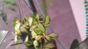 😢💔😞🙏🙏🙏