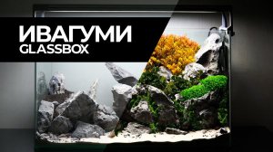 ИВАГУМИ 40 - Возвращаемся в пресняк.