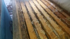 Пчелосемья " больная " и с " расплодом " , в каком она состоянии ? . Напишите Ваше мнение .