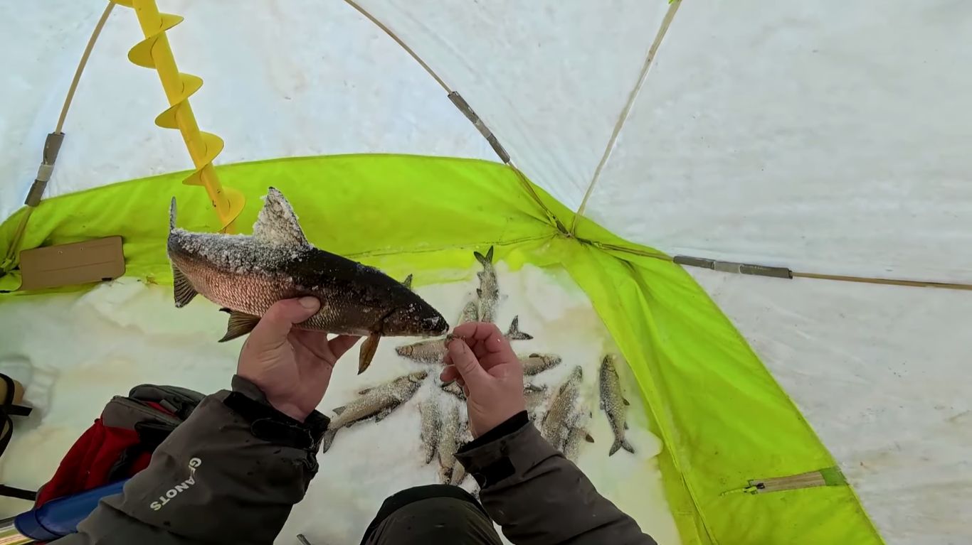 Рыбалка на сига. Супер клёво! смотреть онлайн