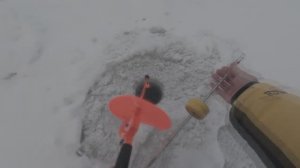 Я В ШОКЕ! Когда он схватил приманку.