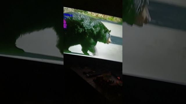 скинь видос №2 смотреть онлайн