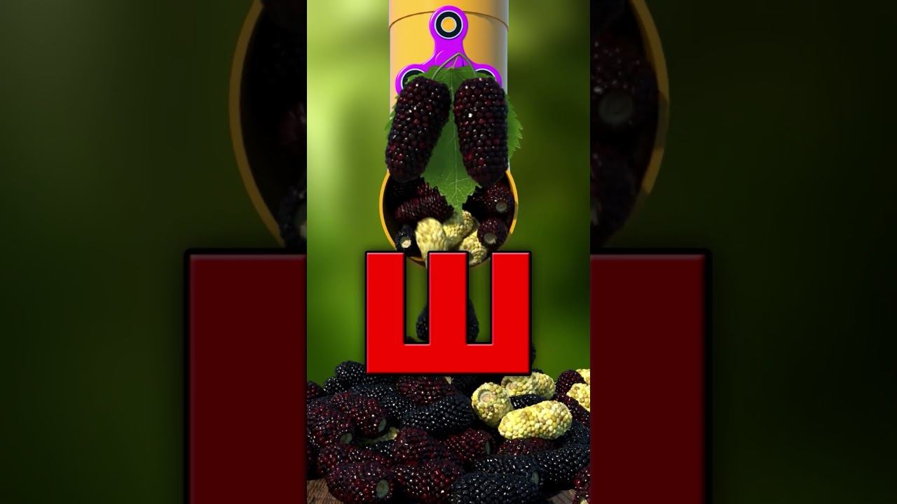 Азбука #26 Буква Ш смотреть онлайн