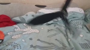 Rivals но в реальной жизни💥🤯